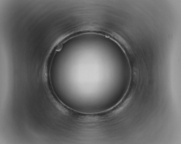 X0000113360981200909151232