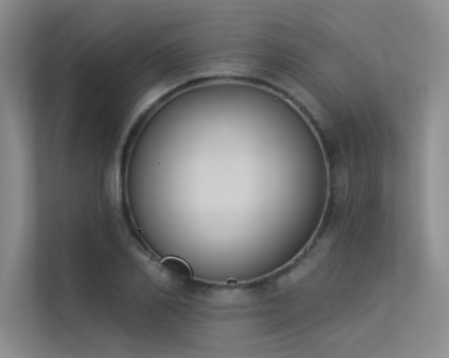 X0000113360982200909151232