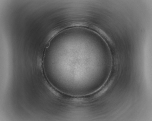 X0000113360985200909151232