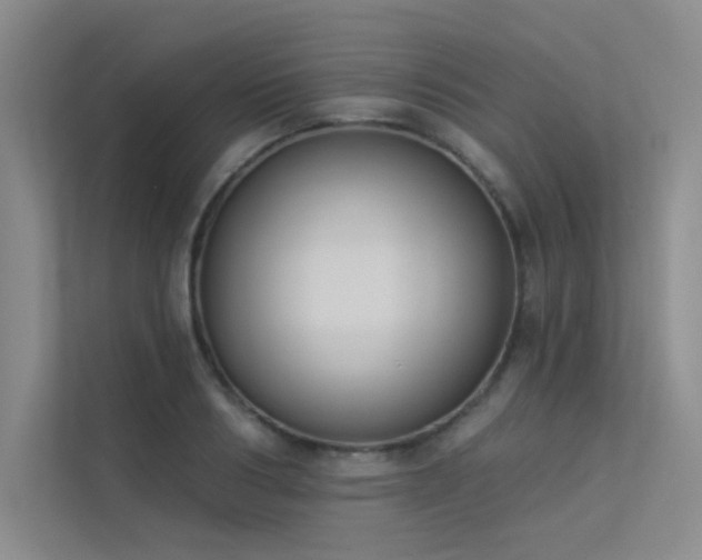 X0000113360986200909151232