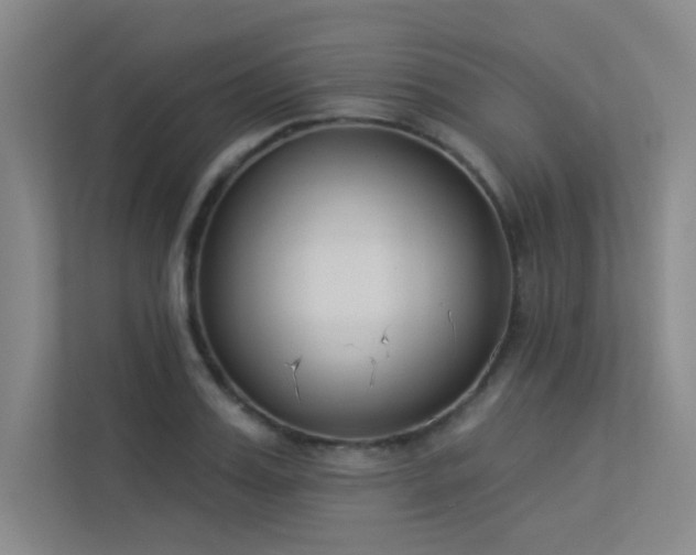 X0000113360987200909151232