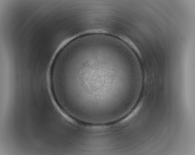 X0000113360989200909151232