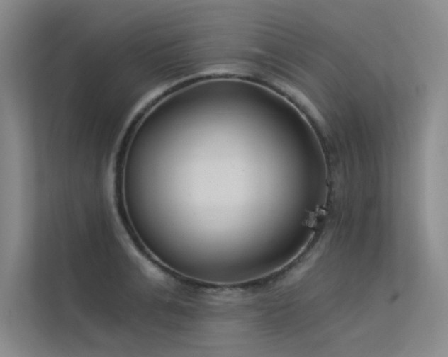 X0000113360991200909151232