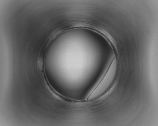 X0000113360993200909151232