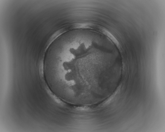 X0000113360994200909151231