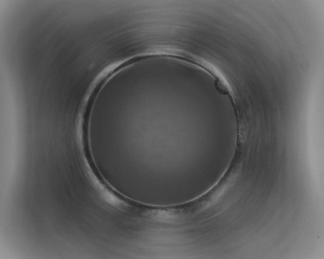 X0000113360995200909151231