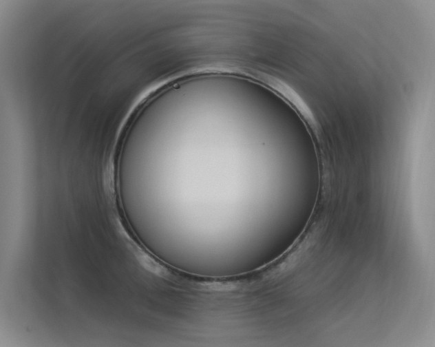 X0000113360996200909151231