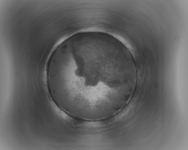 X0000113360998200909151231