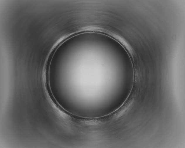 X0000113360999200909151231