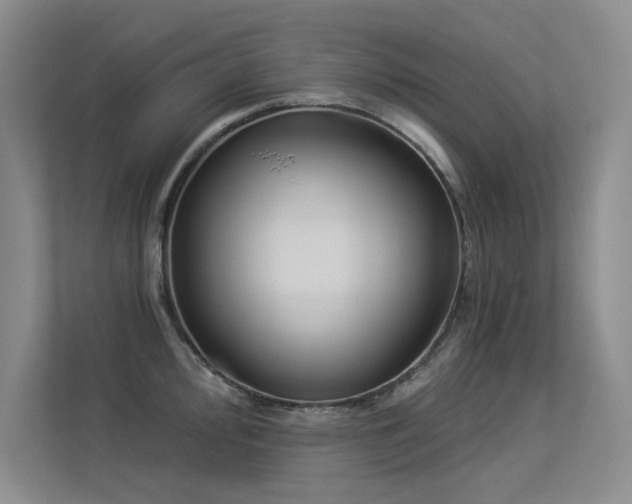 X0000113361000200909151231