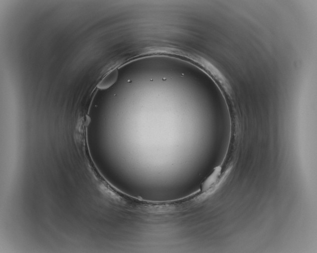 X0000113361001200909151231