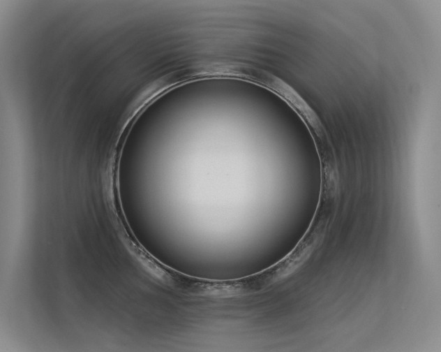 X0000113361002200909151231