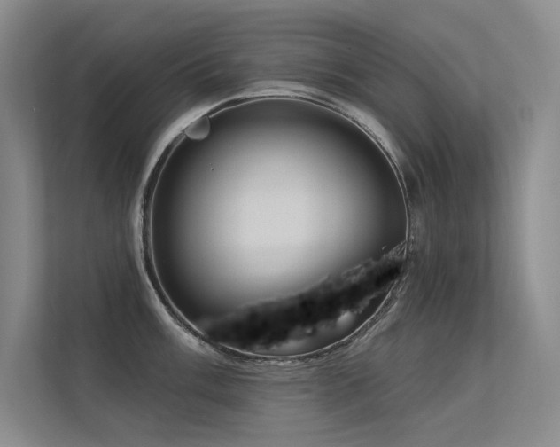 X0000113361003200909151231