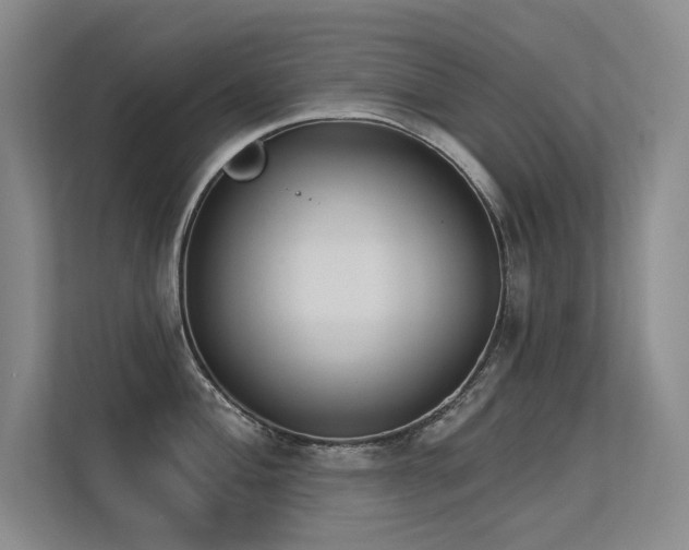 X0000113361004200909151231