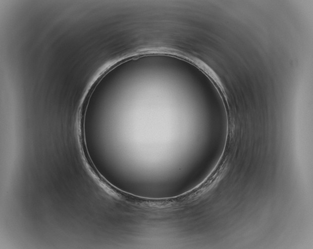 X0000113361005200909151231