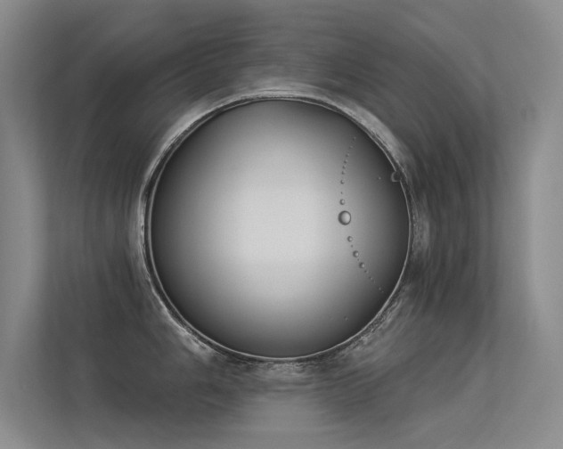 X0000113361006200909151231