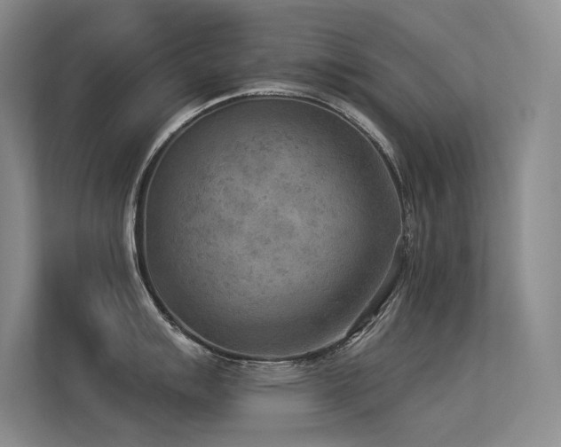 X0000113361007200909151231