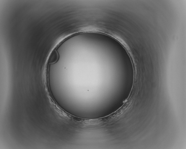 X0000113361008200909151231