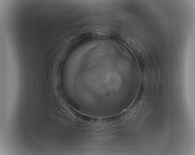 X0000113361009200909151231