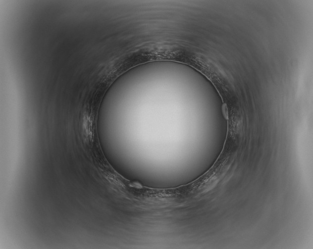 X0000113361010200909151231
