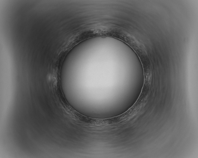 X0000113361012200909151231
