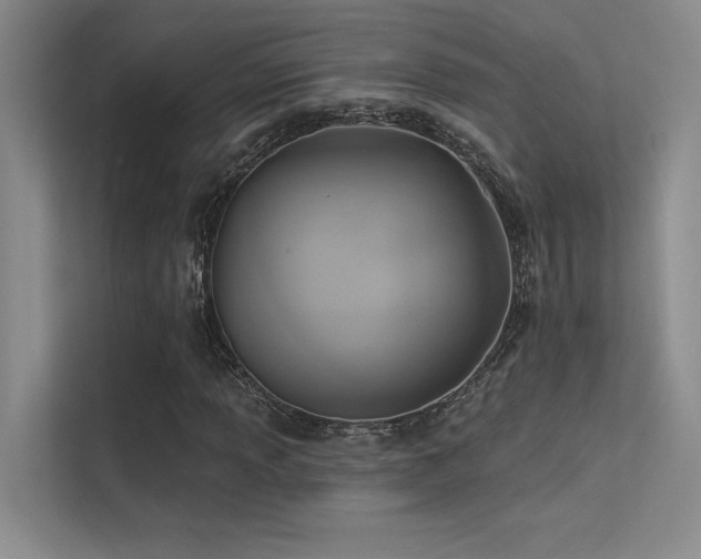 X0000113361013200909151231