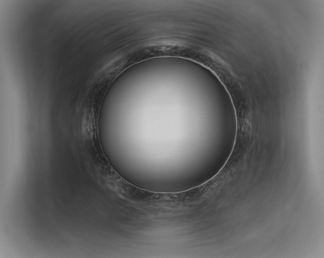 X0000113361014200909151231