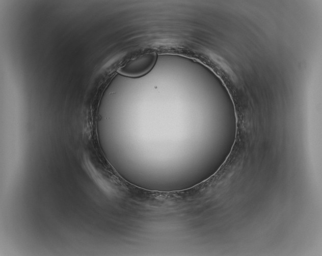 X0000113361015200909151231