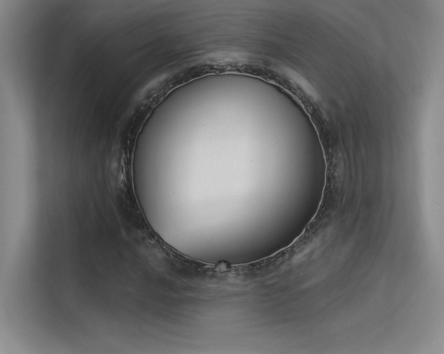 X0000113361016200909151231