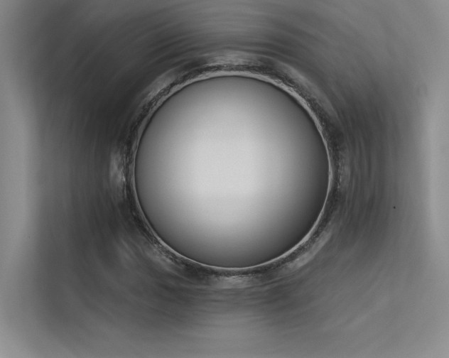 X0000113361017200909151231