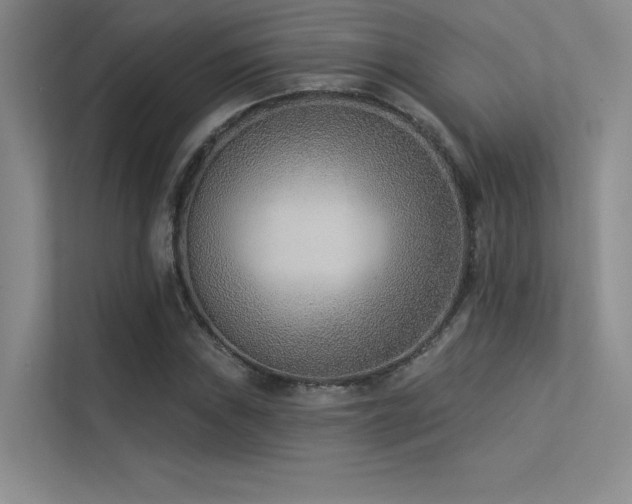 X0000113361019200909151231