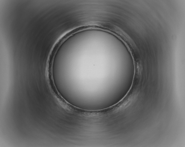 X0000113361020200909151231