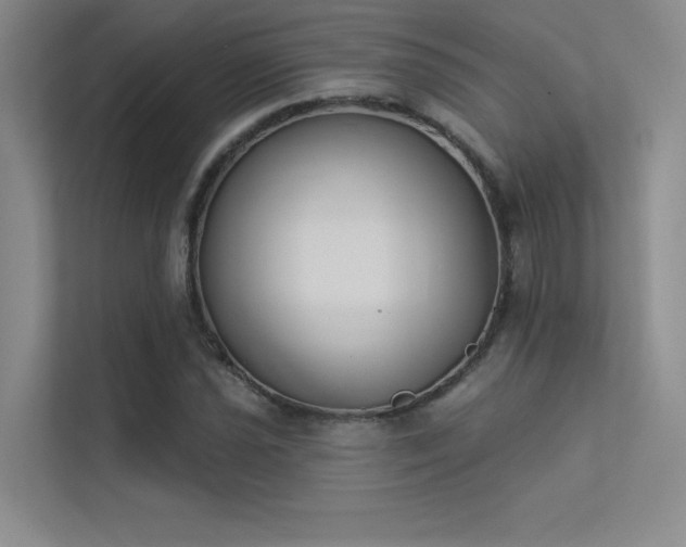 X0000113361021200909151231