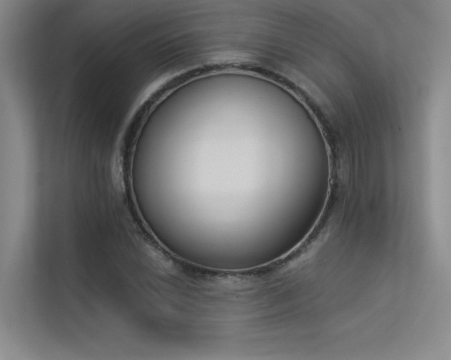 X0000113361022200909151231
