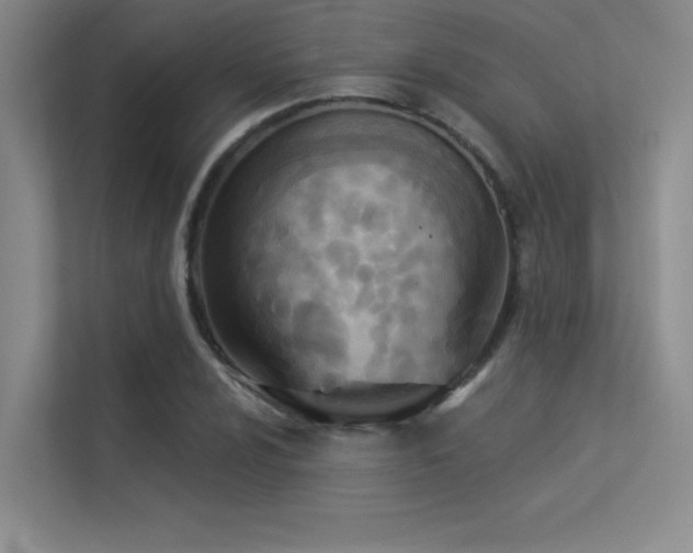 X0000113361024200909151231