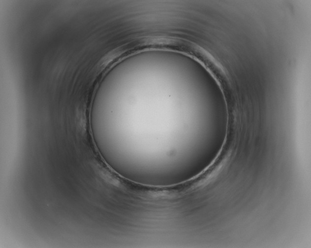 X0000113361025200909151231