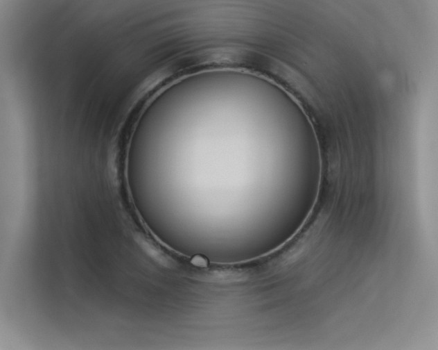 X0000113361026200909151231
