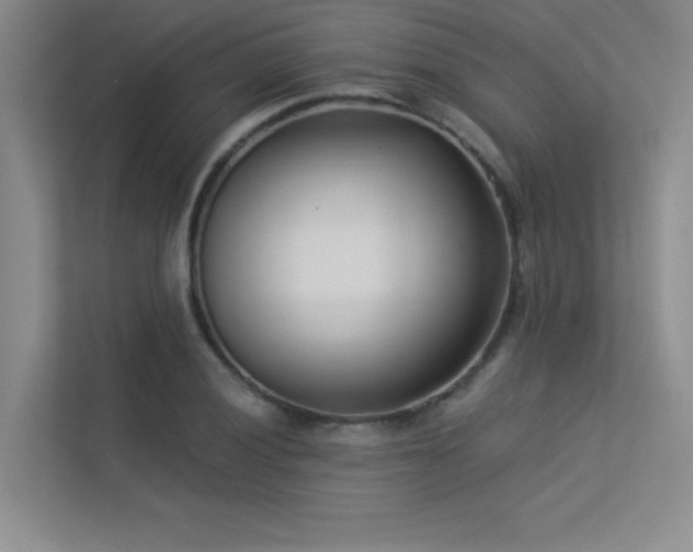 X0000113361028200909151231