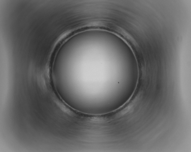 X0000113361029200909151231