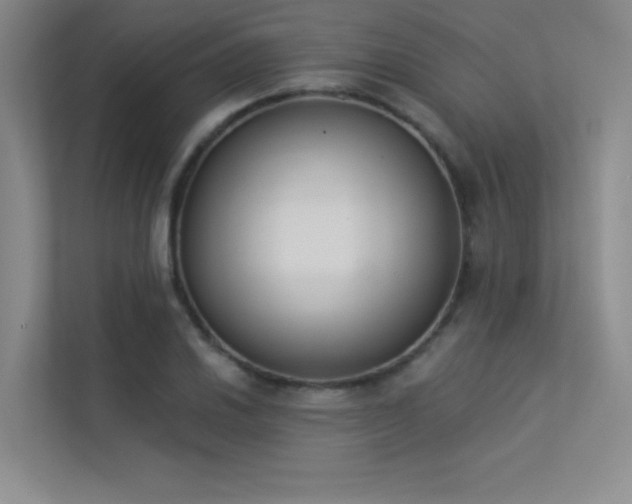 X0000113361030200909151231