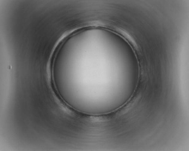 X0000113361032200909151231
