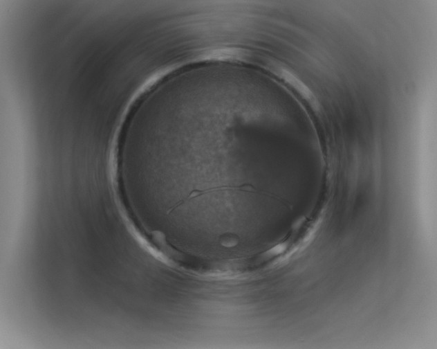 X0000113361037200909151231