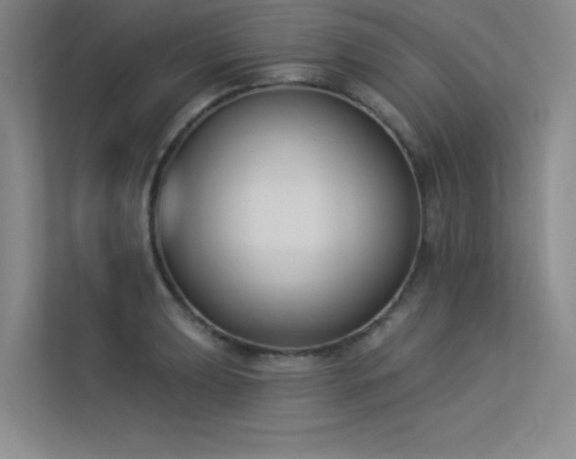 X0000113361039200909151231