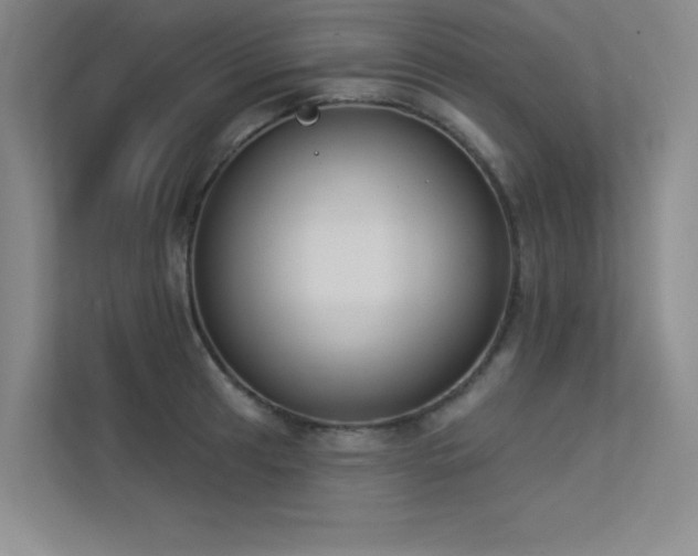 X0000113361041200909151231