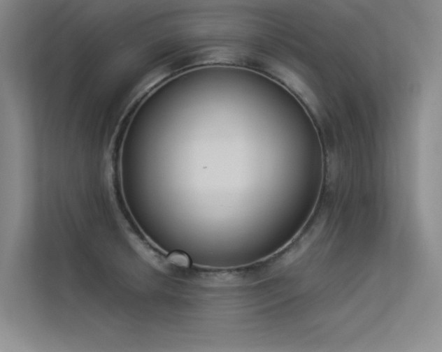 X0000113361042200909151231