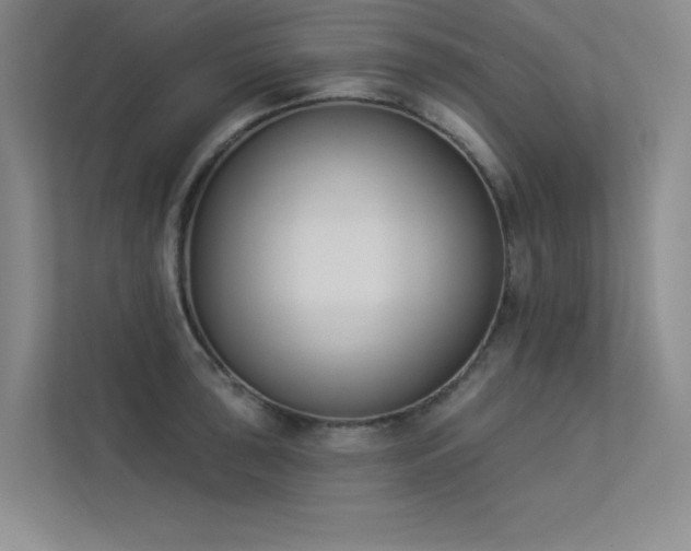 X0000113361043200909151231