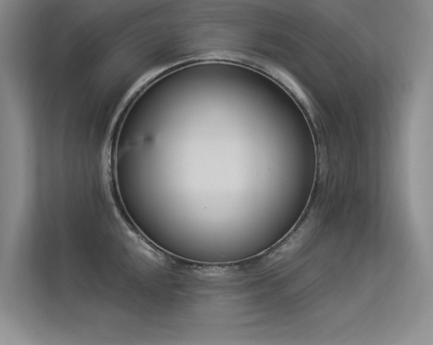 X0000113361048200909151231