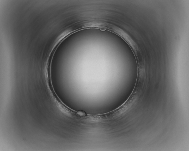 X0000113361050200909151231