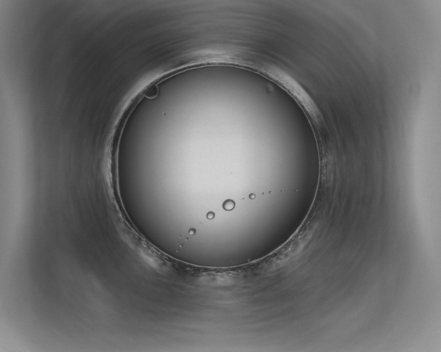 X0000113361051200909151231