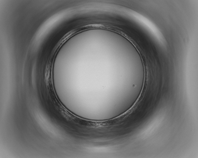 X0000113361052200909151231